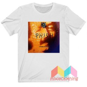 Phish A Picture of Nectar T-Shirt
